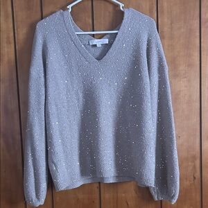 LOFT Sparkling Gray V-Neck Sweater